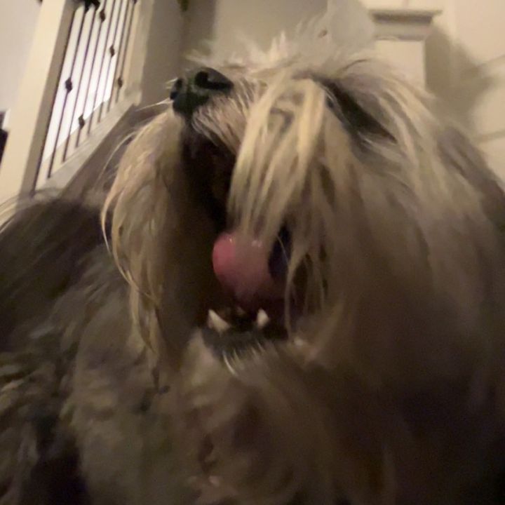Profile Picture of JoshuaDeWitt (@joshuadbdewitt) on Tiktok