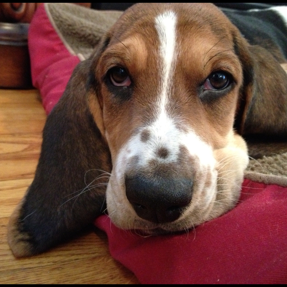 Profile Picture of Alli Nymeyer (@gracien84) on Poshmark