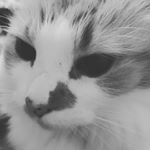 Profile Picture of Abby.Howell (@abby_howelter) on Instagram