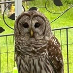 Profile Picture of Larry Rudden (@Larry-Rudden) on Facebook