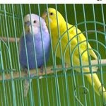 Profile Picture of Rick Sanchez Lopez (@ricky_sl) on Instagram