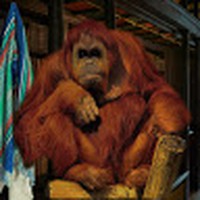 Profile Picture of Gerald Schenk (@gerald-schenk-1) on Quora