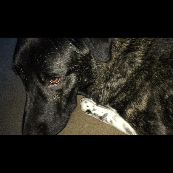 Profile Picture of Anna Schupakevich (@a_schupakevich) on Poshmark