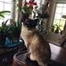 Profile Picture of Bob Hayes (@robert.hayes.9843499) on Facebook
