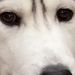 Profile Picture of Aaron Setser (@aarons4070) on Pinterest