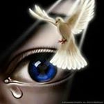 Profile Picture of Alexander Placker (@alexander.placker.792) on Instagram