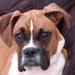 Profile Picture of monty (@mfowler66) on Instagram