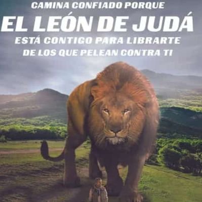 Profile Picture of Lilia Oneida Ramirez (@LiliaOneidaRam4) on Twitter