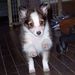 Profile Picture of Daniel Brunson (@brunson3201) on Pinterest