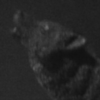 Profile Picture of Kelly Kinkey (@kelly-kinkey) on Quora