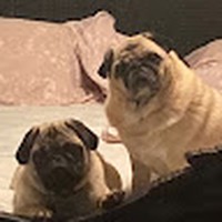 Tyler Lappe - Quora Profile Picture of Tyler Lappe (@tyler-lappe-1) on Quora