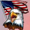 Profile Picture of Dennis Foster (@@dennisfoster0) on Tiktok