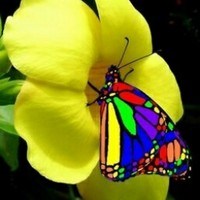 Mylicia Mailkoff - Quora Profile Picture of Mylicia Mailkoff (@mylicia-mailkoff) on Quora