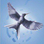 Profile Picture of Bianca Segura (@bianca_livelovelaugh) on Instagram