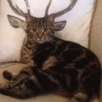 Randy Waldner - Instagram Profile Picture of Randy Waldner (@randy_wldnr) on Instagram