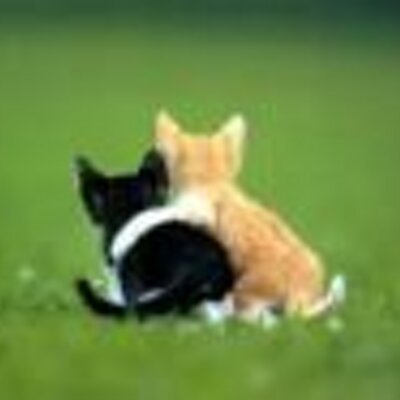 Profile Picture of Lori Bayer (@LolaLu) on Twitter