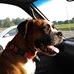 Profile Picture of Steven Collins (@steven.collins.524) on Facebook