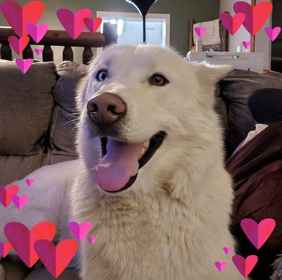 Profile Picture of Chloe Furlano (@chloefurlano) on Poshmark