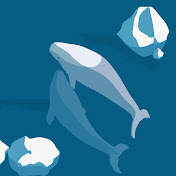 Profile Picture of Robert Metcalfe (@robertmetcalfe8160) on Youtube