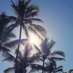 Profile Picture of Buffer Tetra (@buffer.tetra) on Facebook