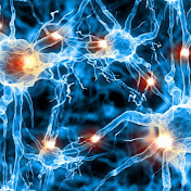 Profile Picture of Catrell Goodman (@llertac1) on Youtube