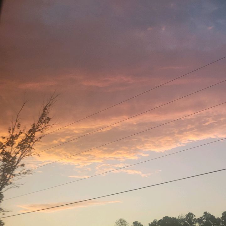 Profile Picture of Damian (@d.brownjr) on Tiktok