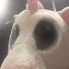 Profile Picture of Jesse Hastings (@@jessehastings) on Tiktok