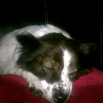 Profile Picture of Ian Emery (@hulkman08) on Instagram