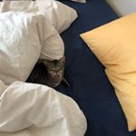 Profile Picture of 정지현 (@jung.g) on Instagram