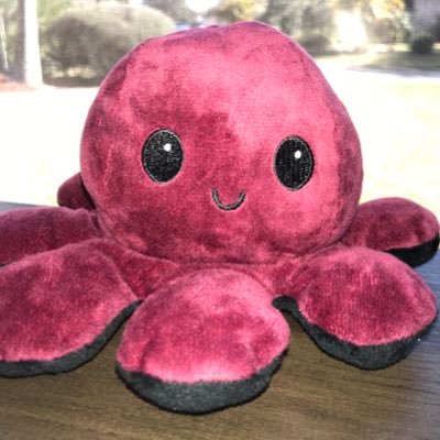 Profile Picture of David (@Tamara02330263) on Twitter