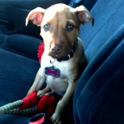 Profile Picture of Hazel Gibson (@HazelAdventures) on Twitter