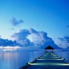 Profile Picture of Cheri Champ (@cheriq2) on Pinterest