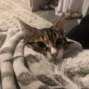 Profile Picture of isaacmoreno (@@isaac_moreno675) on Tiktok