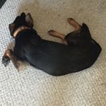 Profile Picture of John (@_john_werkman_) on Instagram