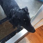 Profile Picture of John Smith (@letschecktheasparagus) on Instagram