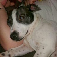 Richard Wickham - Quora Profile Picture of Richard Wickham (@richard-wickham) on Quora