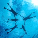 Profile Picture of Brad Spears (@brad.spears.79) on Instagram