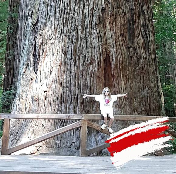 Profile Picture of Tabitha Bailey (@tabnord74) on Poshmark