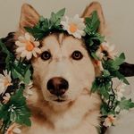 Profile Picture of Grace Myrna Ocasio Monserrate (@ocasiomonserrate) on Instagram