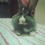 Profile Picture of Steve Pancake Banner (@steve.banner22) on Instagram