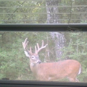 Profile Picture of Eric Kubena (@longhorns320) on Myspace