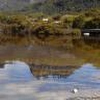 Profile Picture of Van Kim Nguyen (@van-kim-nguyen) on Quora