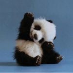 Profile Picture of Ivy (@itz_not_poison_ivy) on Instagram