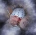 Profile Picture of Nicholas Frahm (@Nicholas-Frahm) on Facebook