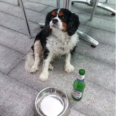 Profile Picture of Margaret Cameron (@MargaretCameron) on Twitter