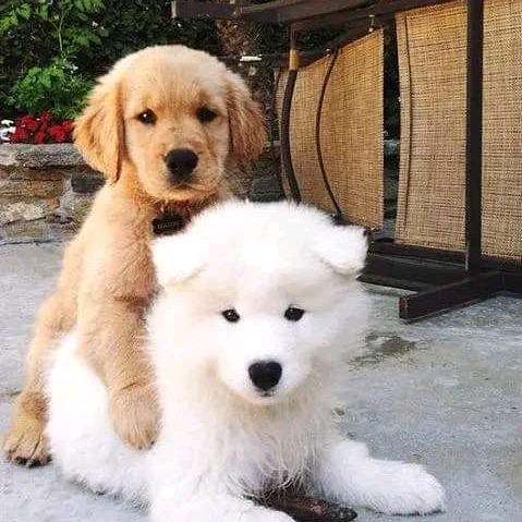 Profile Picture of richard _@@@ (@_richard_fundz) on Tiktok