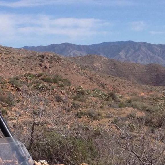 Profile Picture of Joyce Frericks (@kjfrerx) on Poshmark