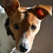 Profile Picture of Daniel Dodds (@Sir_Durg) on Youtube