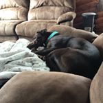 Profile Picture of Grahamfair (@grahamfair900) on Instagram