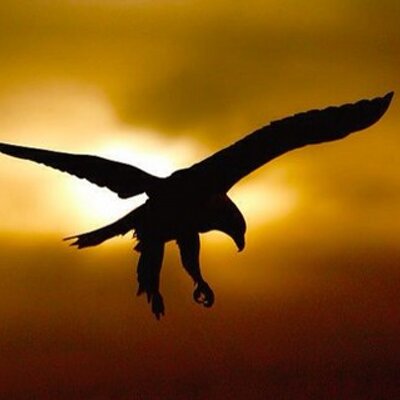 Profile Picture of Edmund Yong (@yongedmund) on Twitter